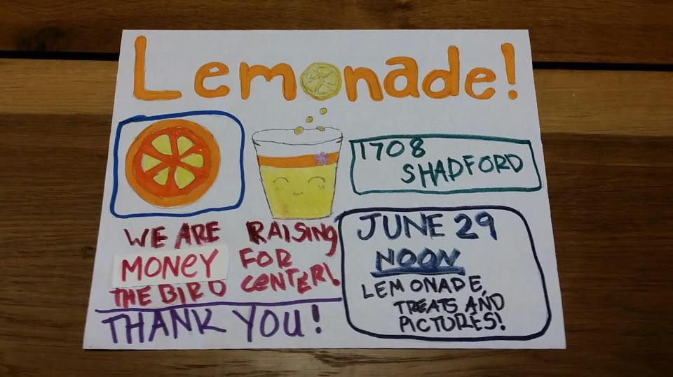 Lemonade stand sign.